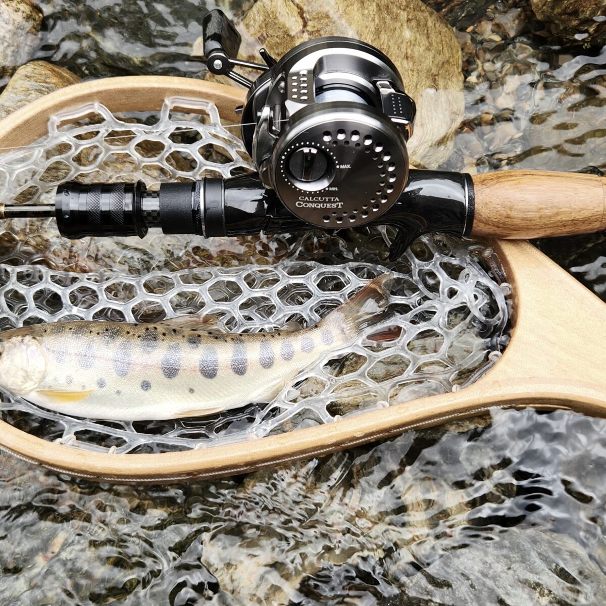 未使用】HARDY Sapphire Lite 7'8' #2