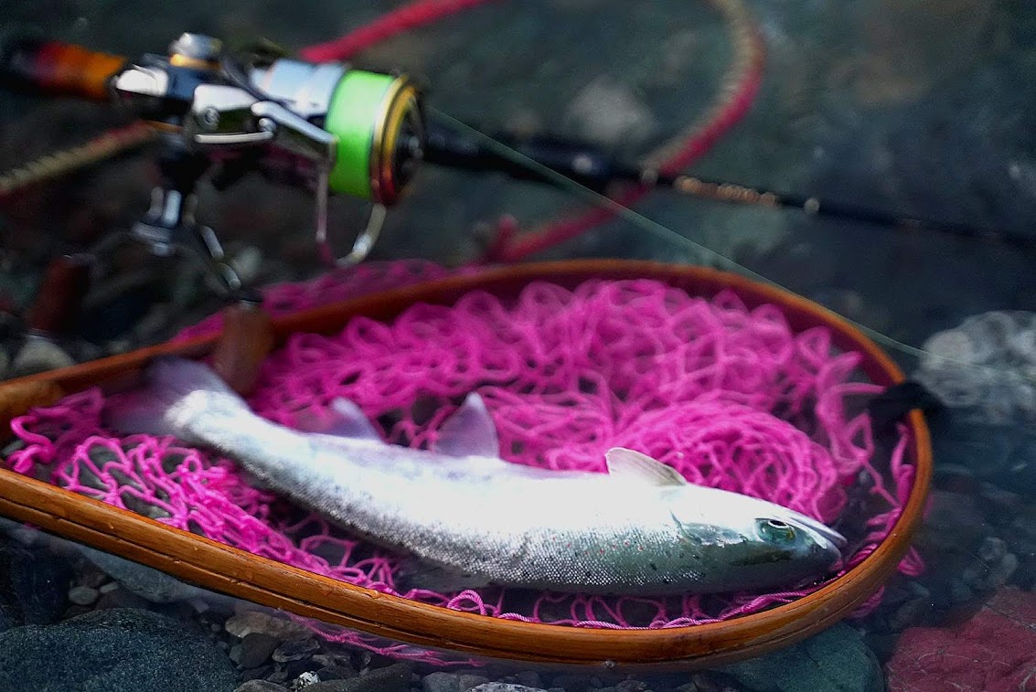 ホームリバーに魚が戻った – 渓流用トラウトロッド、ロッド